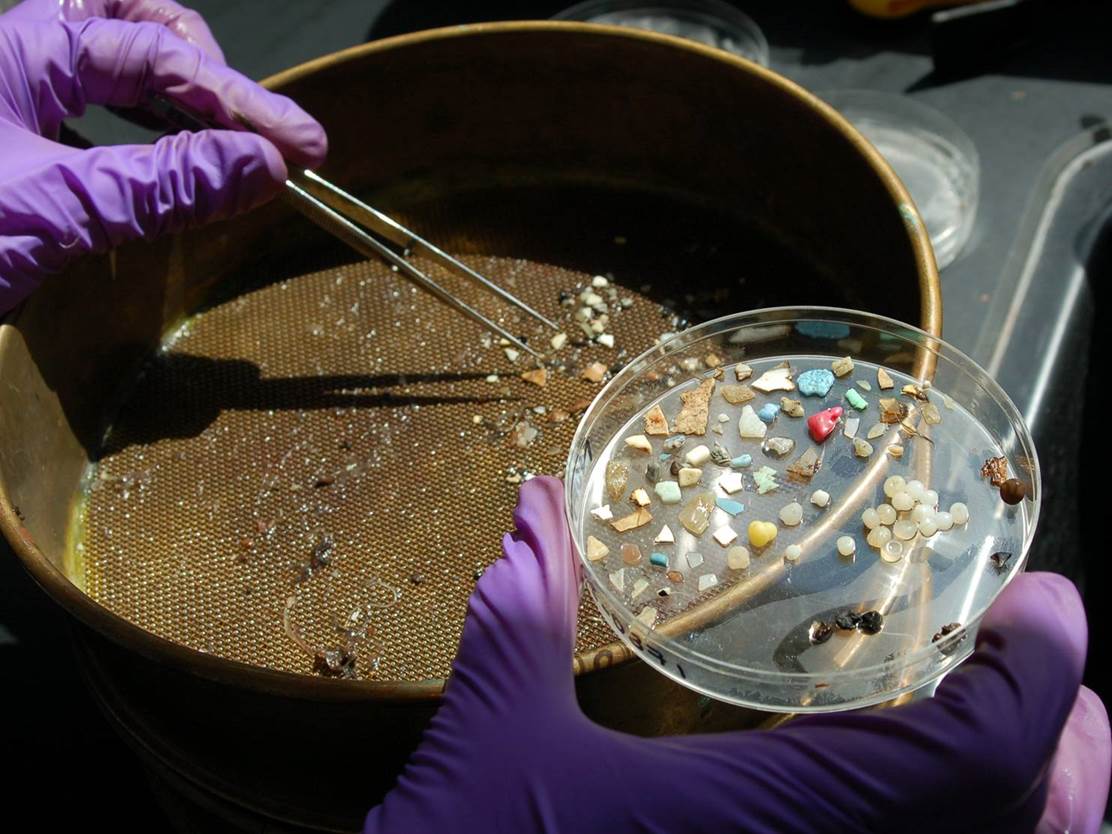 bingo plus rewards login