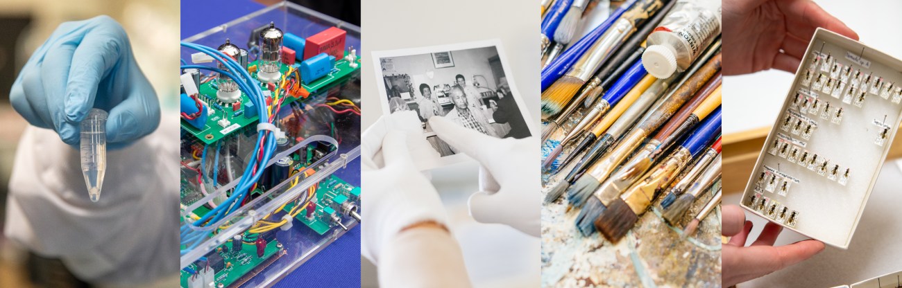 bingo plus reward points login