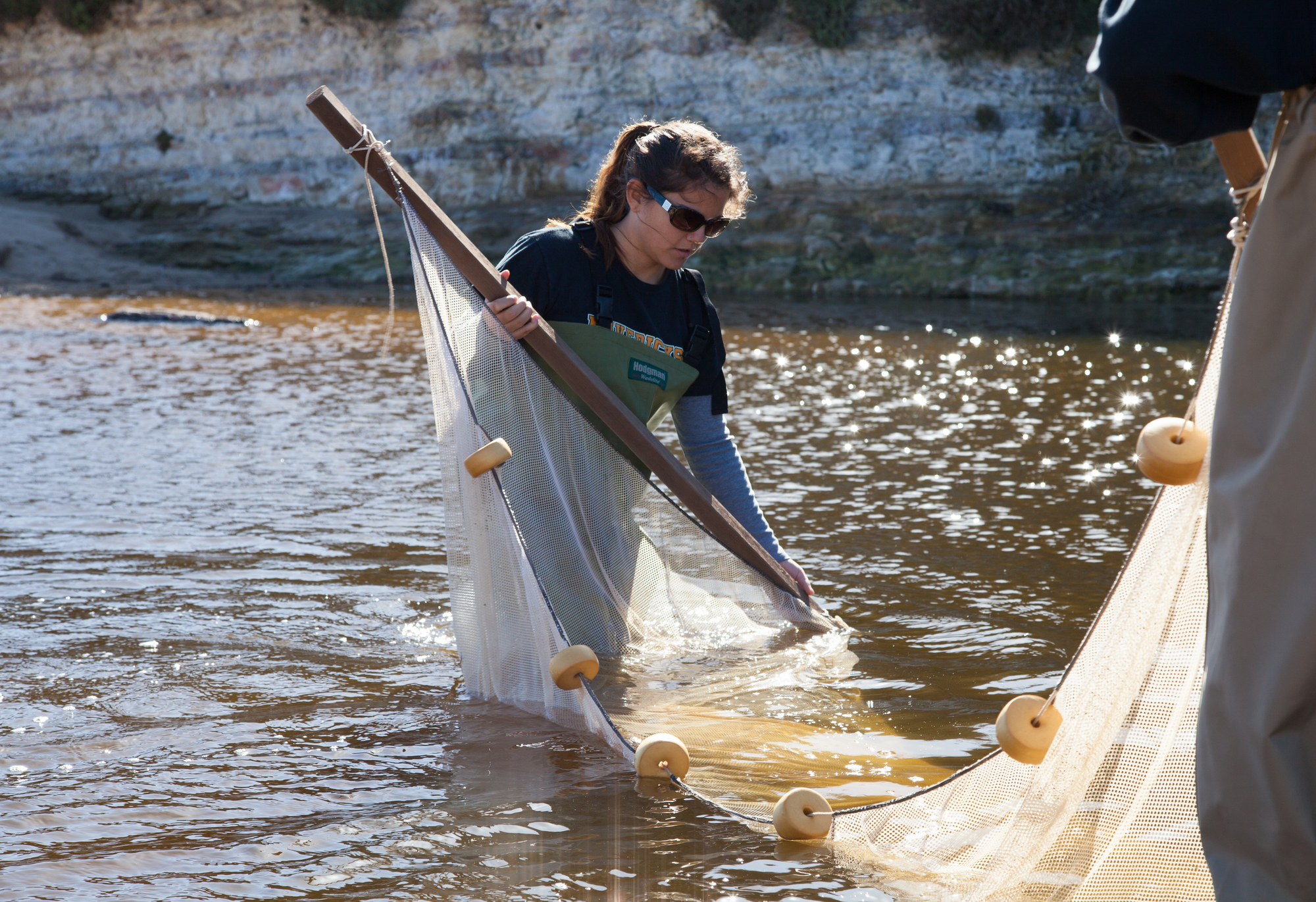 bingo plus reward points login